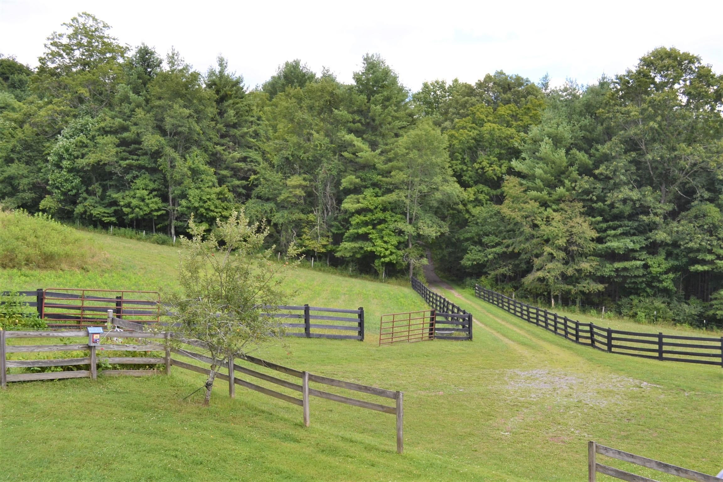 248 Somerset Farm Road Meadow Bridge, WV 25976 - Photo 51 of 98 Gallery Image 51