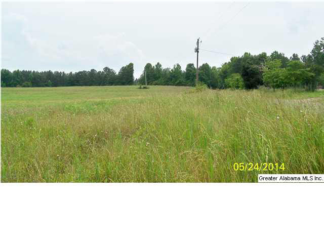 18 County Road, Unit 33 Bremen, AL 35033 - Photo 7 of 9