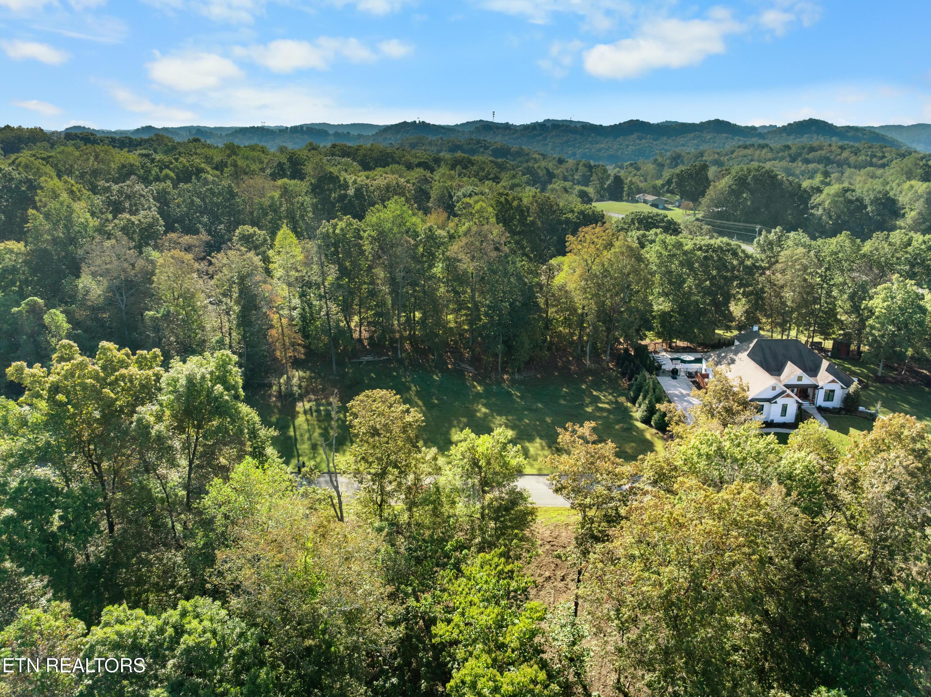 Lot 5 St James Lane Clinton, TN 37716 - Photo 4 of 11 Lot Interior 5