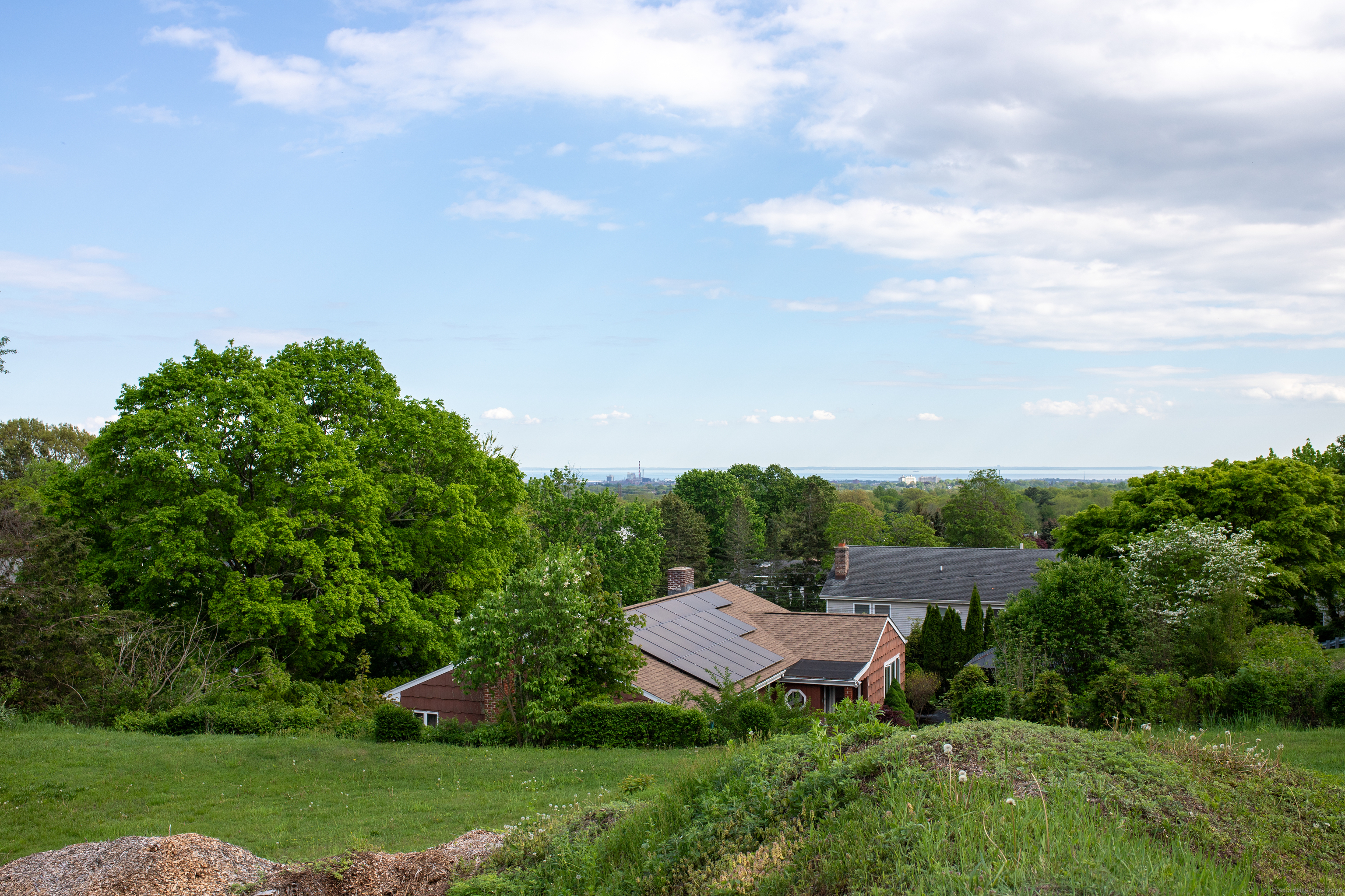 a view of a garden with a house in the background