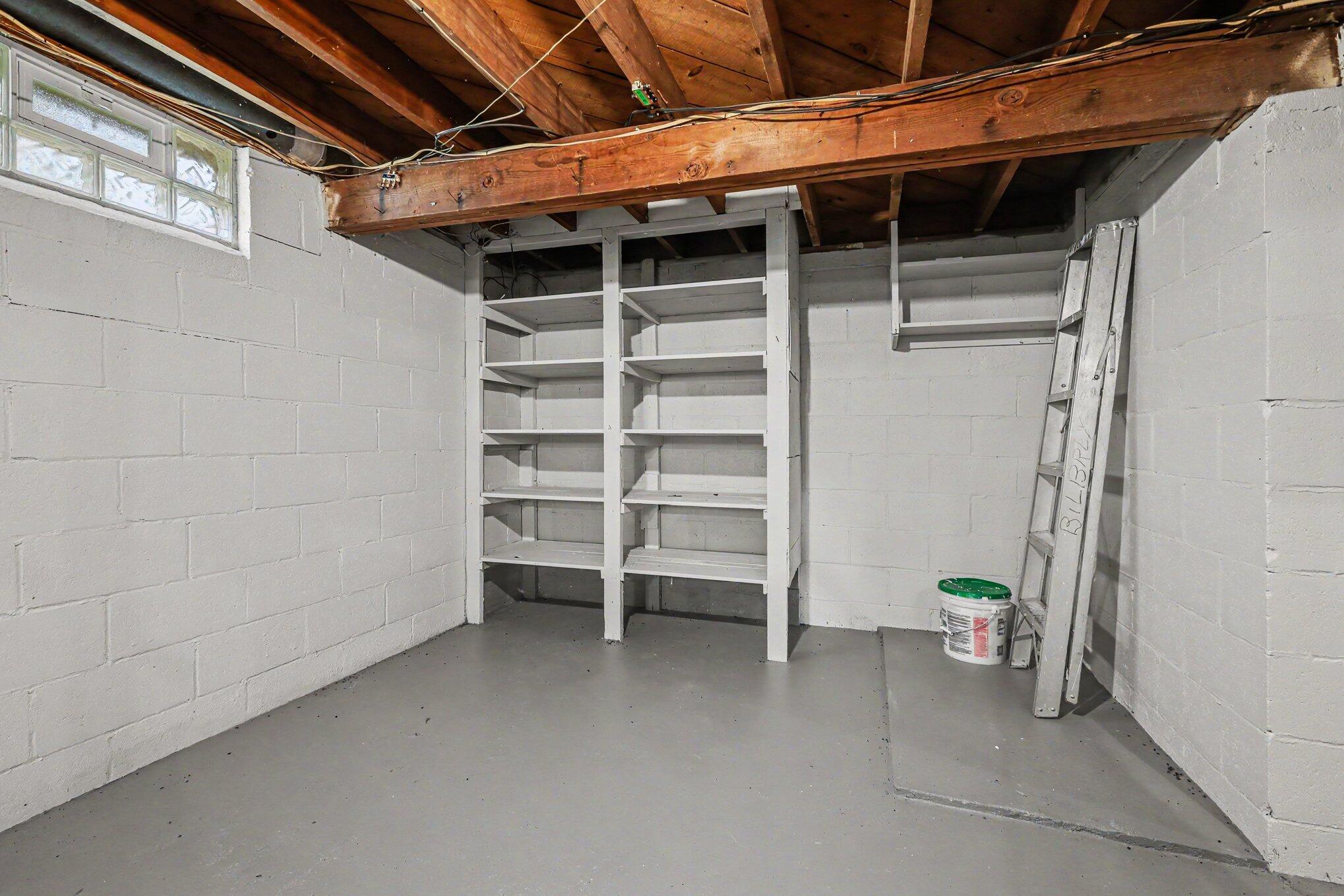 665 4 Mile Road Northwest Comstock Park, MI 49321 - Photo 19 of 35 Basement storage