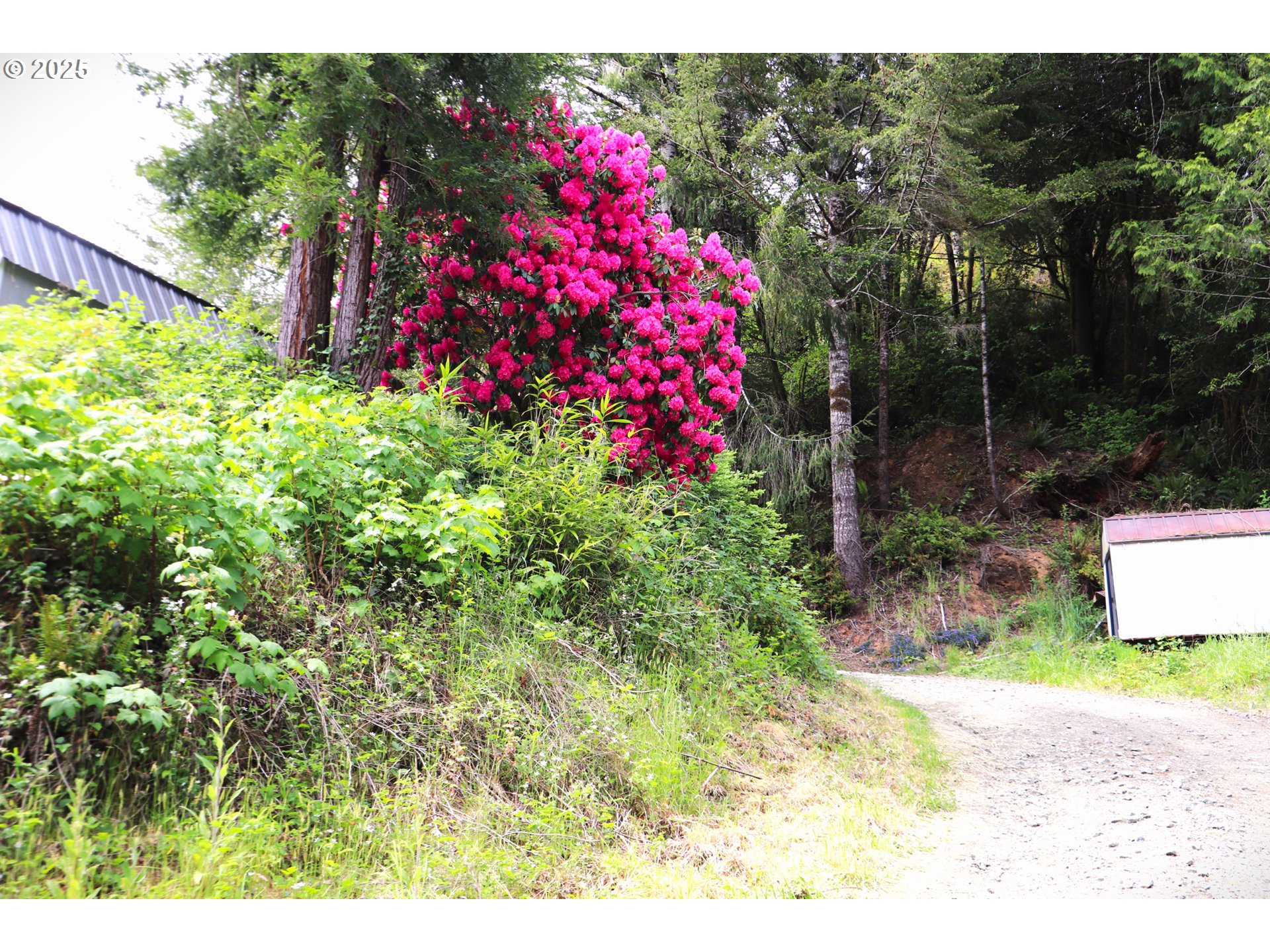 68814 West Fork Millicoma Road Coos Bay, OR 97420 - Photo 11 of 15
