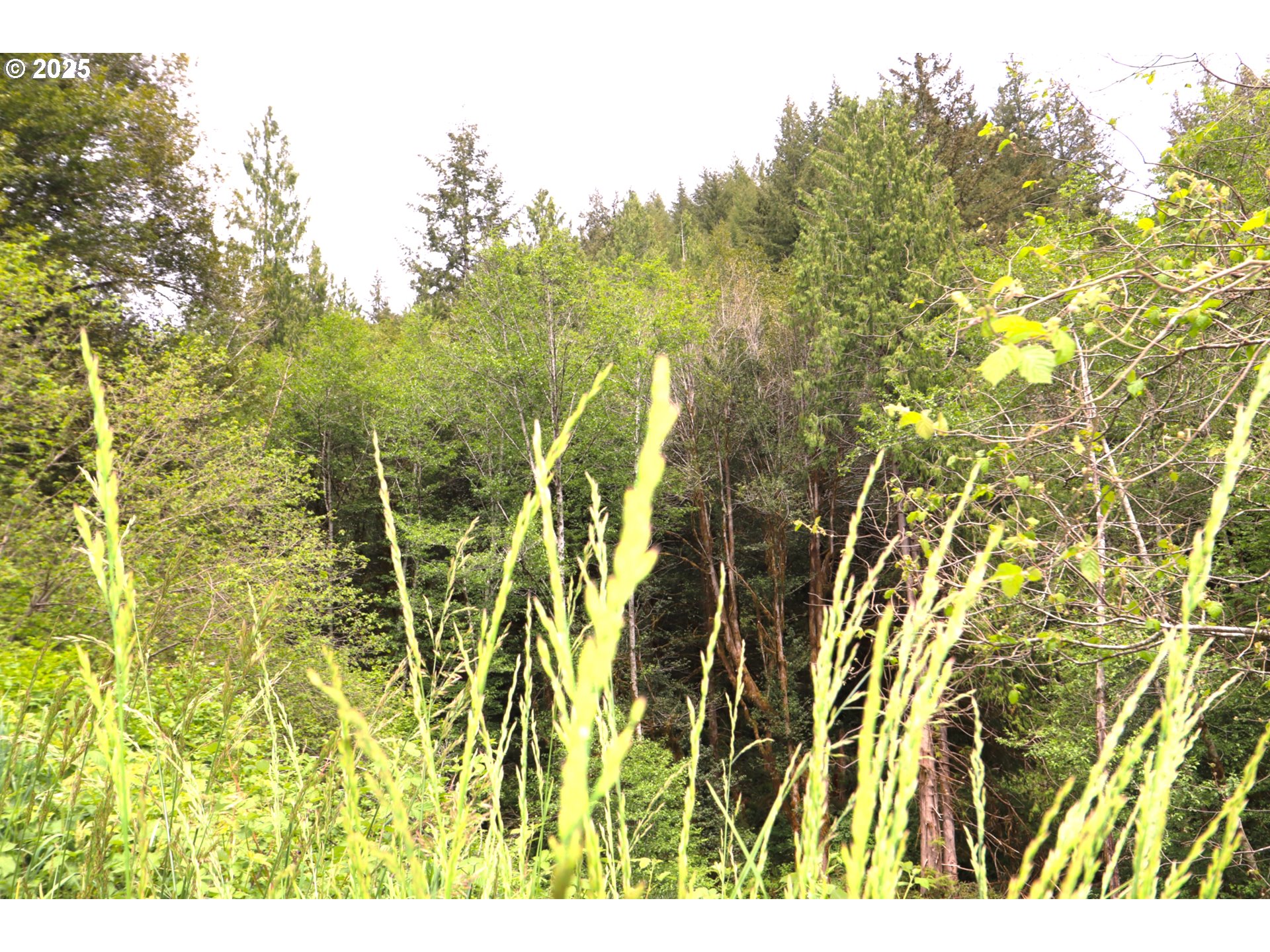 68814 West Fork Millicoma Road Coos Bay, OR 97420 - Photo 12 of 15