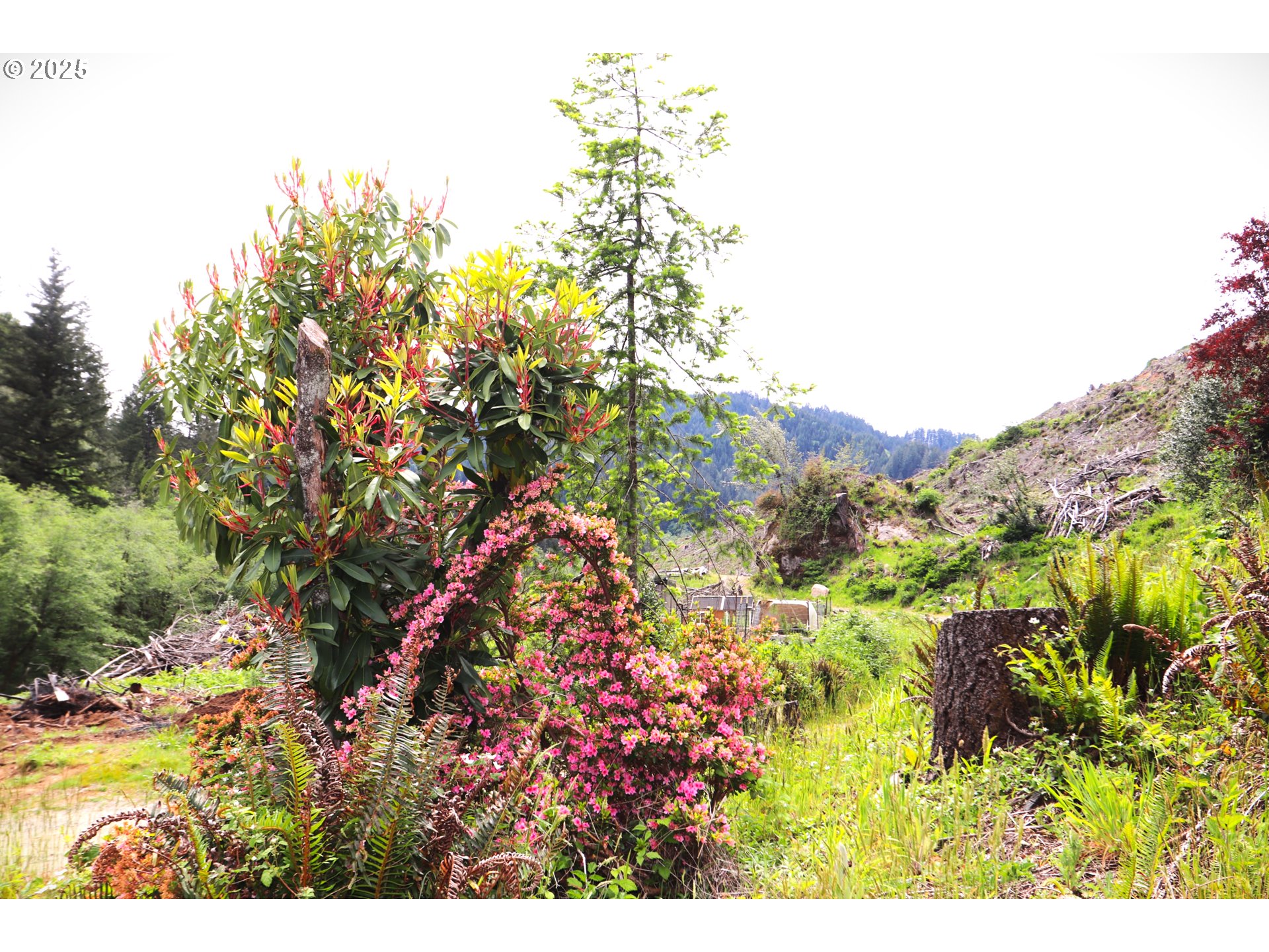 68814 West Fork Millicoma Road Coos Bay, OR 97420 - Photo 13 of 15