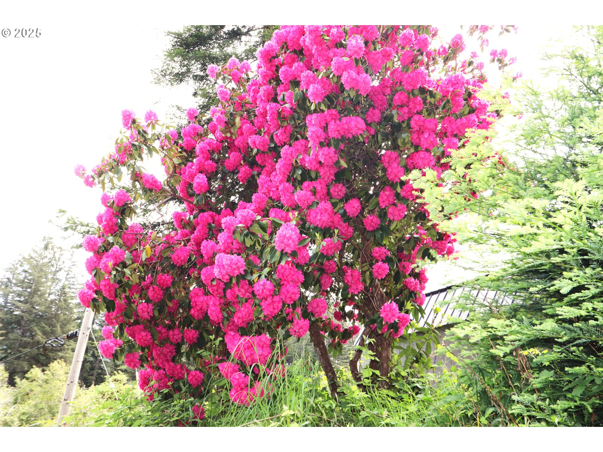 68814 West Fork Millicoma Road Coos Bay, OR 97420 - Photo 14 of 15