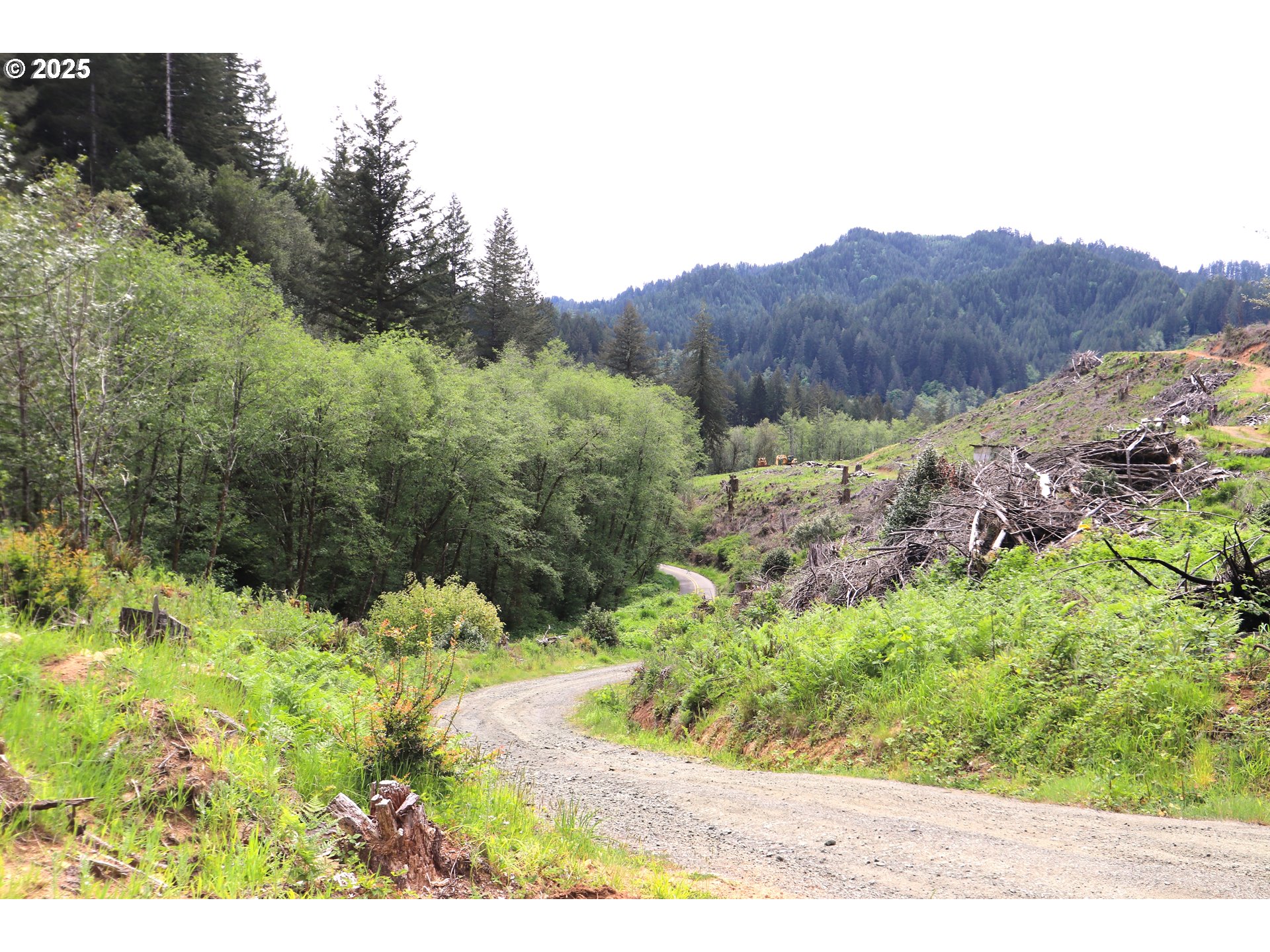 68814 West Fork Millicoma Road Coos Bay, OR 97420 - Photo 9 of 15