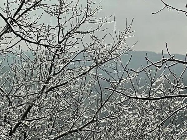 $825,000 | 8 Grandview Trail, Eureka, MO 63025