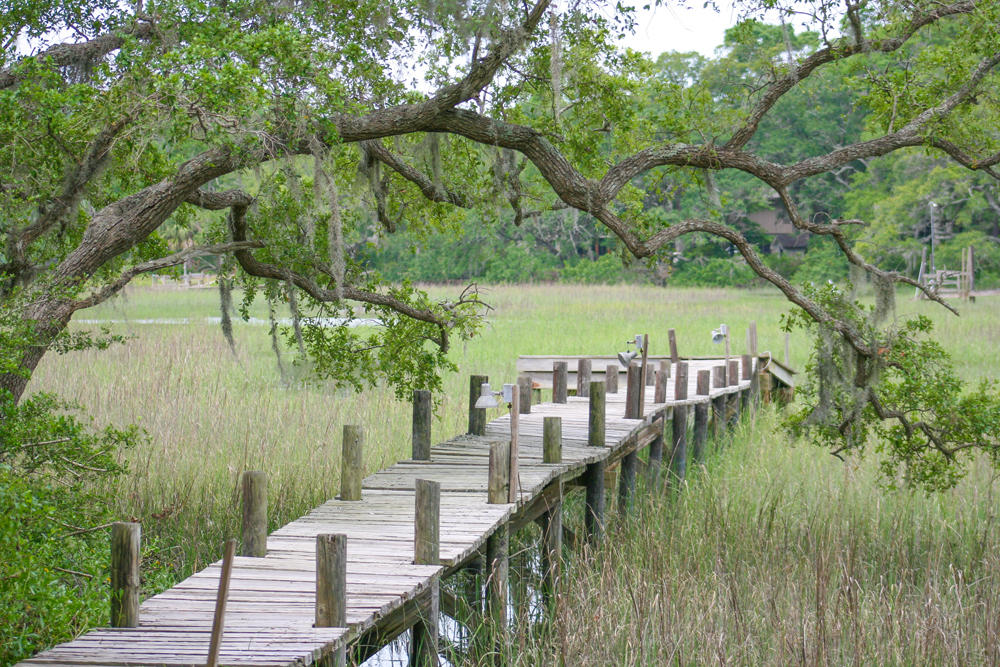 2627 Cherry Point Road Wadmalaw Island, SC 29487 - Photo 1 of 11 Wadmalaw Images 074