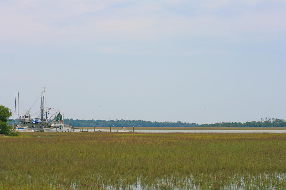 2627 Cherry Point Road Wadmalaw Island, SC 29487 - Photo 2 of 11 Wadmalaw Images 076