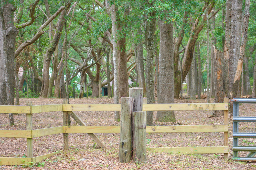 2627 Cherry Point Road Wadmalaw Island, SC 29487 - Photo 11 of 11 Wadmalaw Images 067