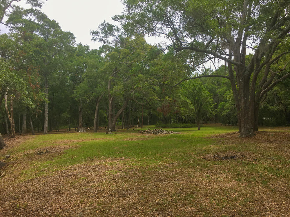 2627 Cherry Point Road Wadmalaw Island, SC 29487 - Photo 3 of 11 Photo May 28, 11 56 53 AM
