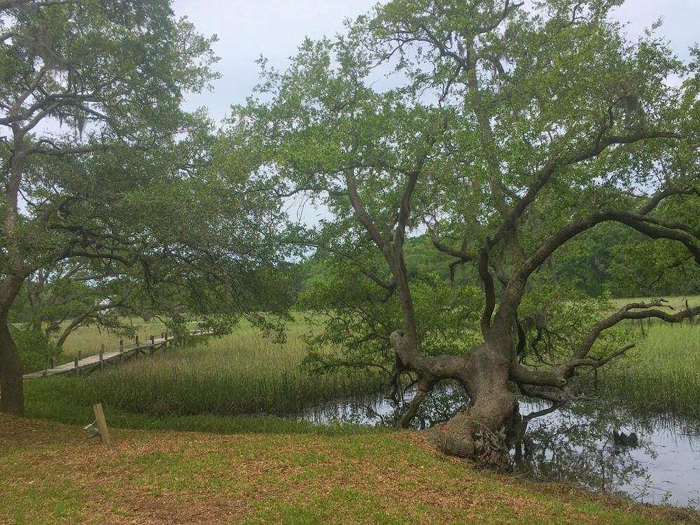 2627 Cherry Point Road Wadmalaw Island, SC 29487 - Photo 5 of 11 Photo May 28, 11 53 24 AM