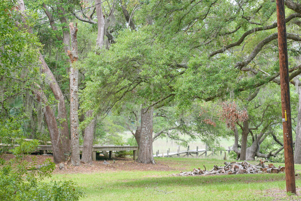 2627 Cherry Point Road Wadmalaw Island, SC 29487 - Photo 9 of 11 Wadmalaw Images 071