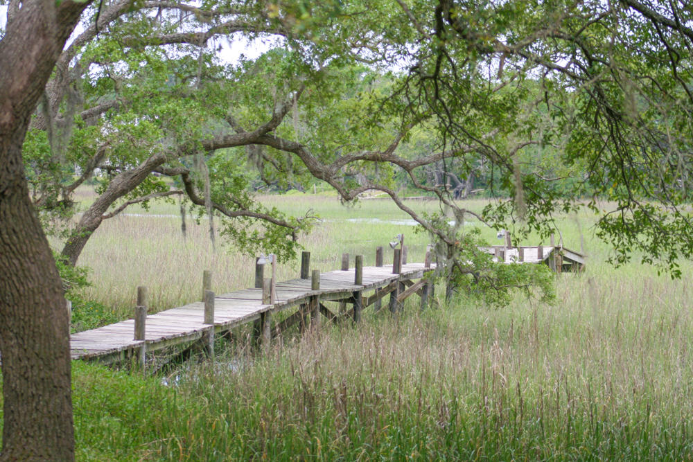 2627 Cherry Point Road Wadmalaw Island, SC 29487 - Photo 10 of 11 Wadmalaw Images 073