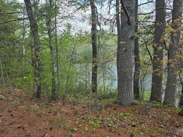 $15,000 | 1452 Ridge Road, Pembroke, ME 04666
