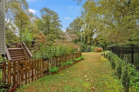 a view of a yard with plants and large tree