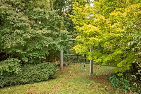 a view of a yard with trees