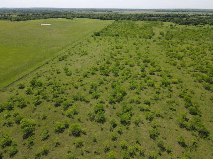 Tbd Southwest 4120 Dawson, TX 76639 - Photo 8 of 15