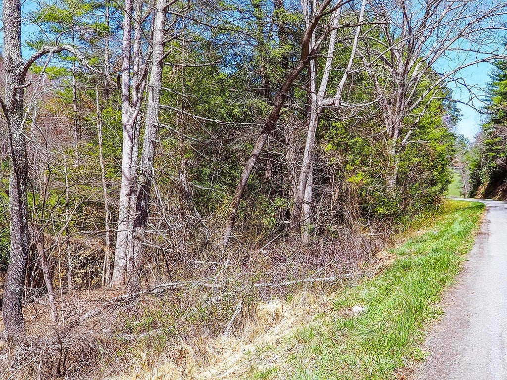 Tbd Tbd Stone Ridge Road, Unit 1 Austinville, VA 24312 - Photo 13 of 14 Gallery Image 13
