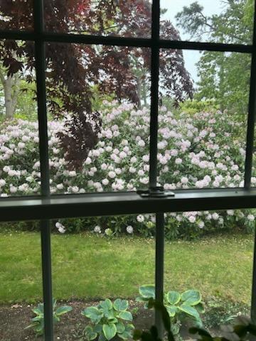 28 Lakeview Avenue Chatham, MA 02633 - Photo 36 of 63 a view of lake from a balcony