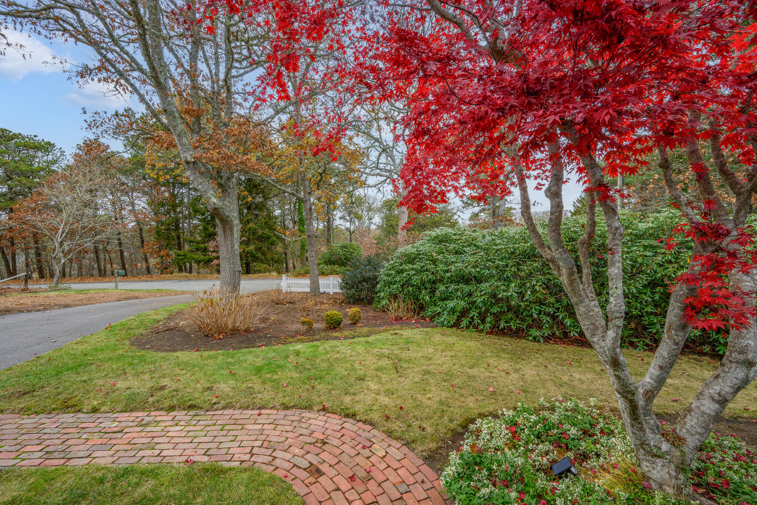 28 Lakeview Avenue Chatham, MA 02633 - Photo 4 of 63 a view of a yard with plants and trees