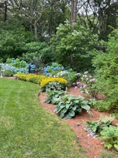 28 Lakeview Avenue Chatham, MA 02633 - Photo 46 of 63 a view of a garden with plants