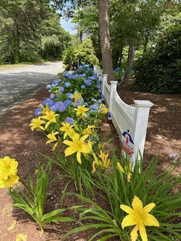 28 Lakeview Avenue Chatham, MA 02633 - Photo 5 of 63 Lilies at Entrance
