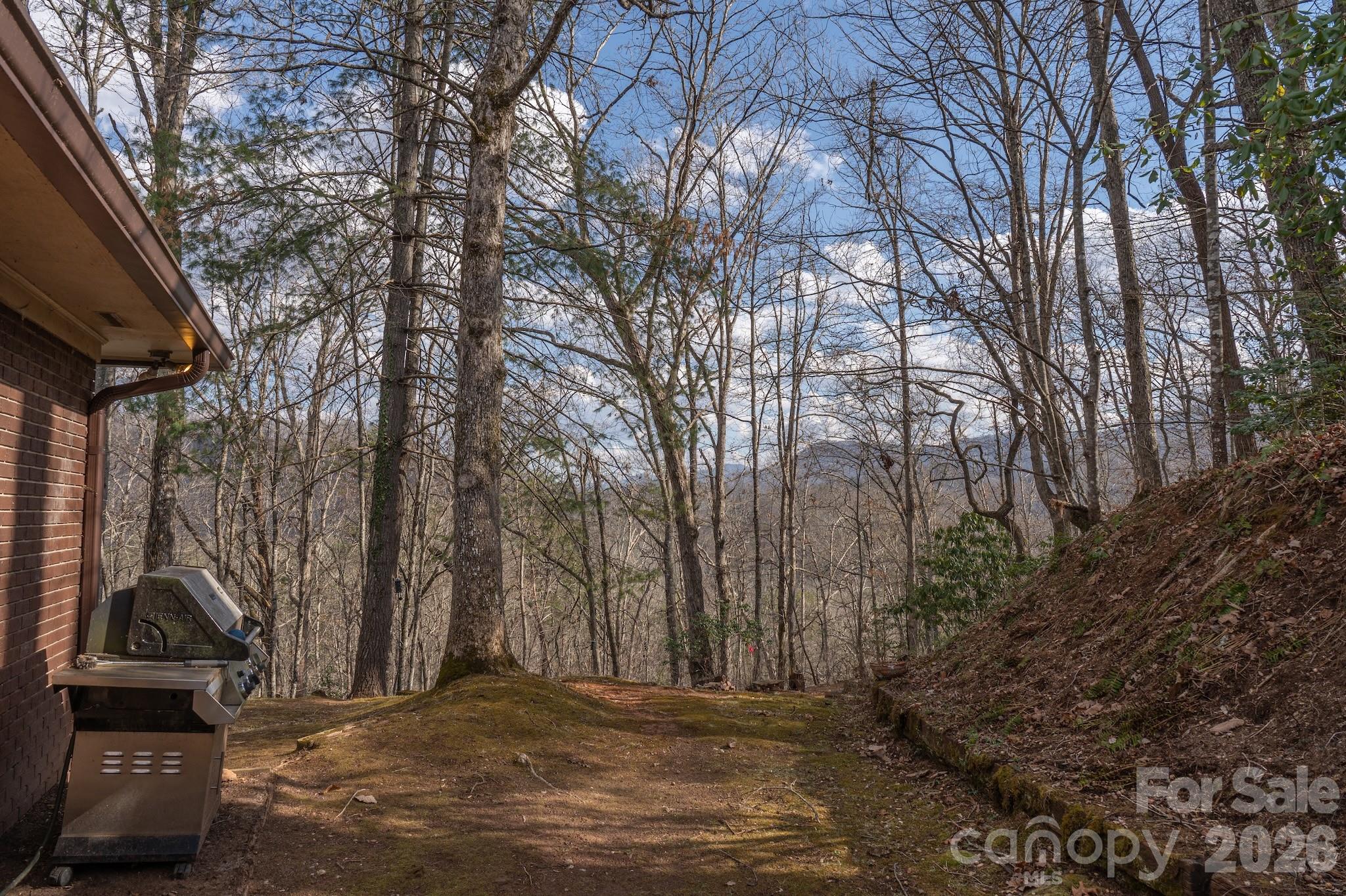 200 Canterbury Road Cullowhee, NC 28723 - Photo 40 of 48