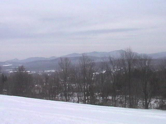 17 Dailey Way Hampton, NY 12837 - Photo 2 of 2 Photo 2