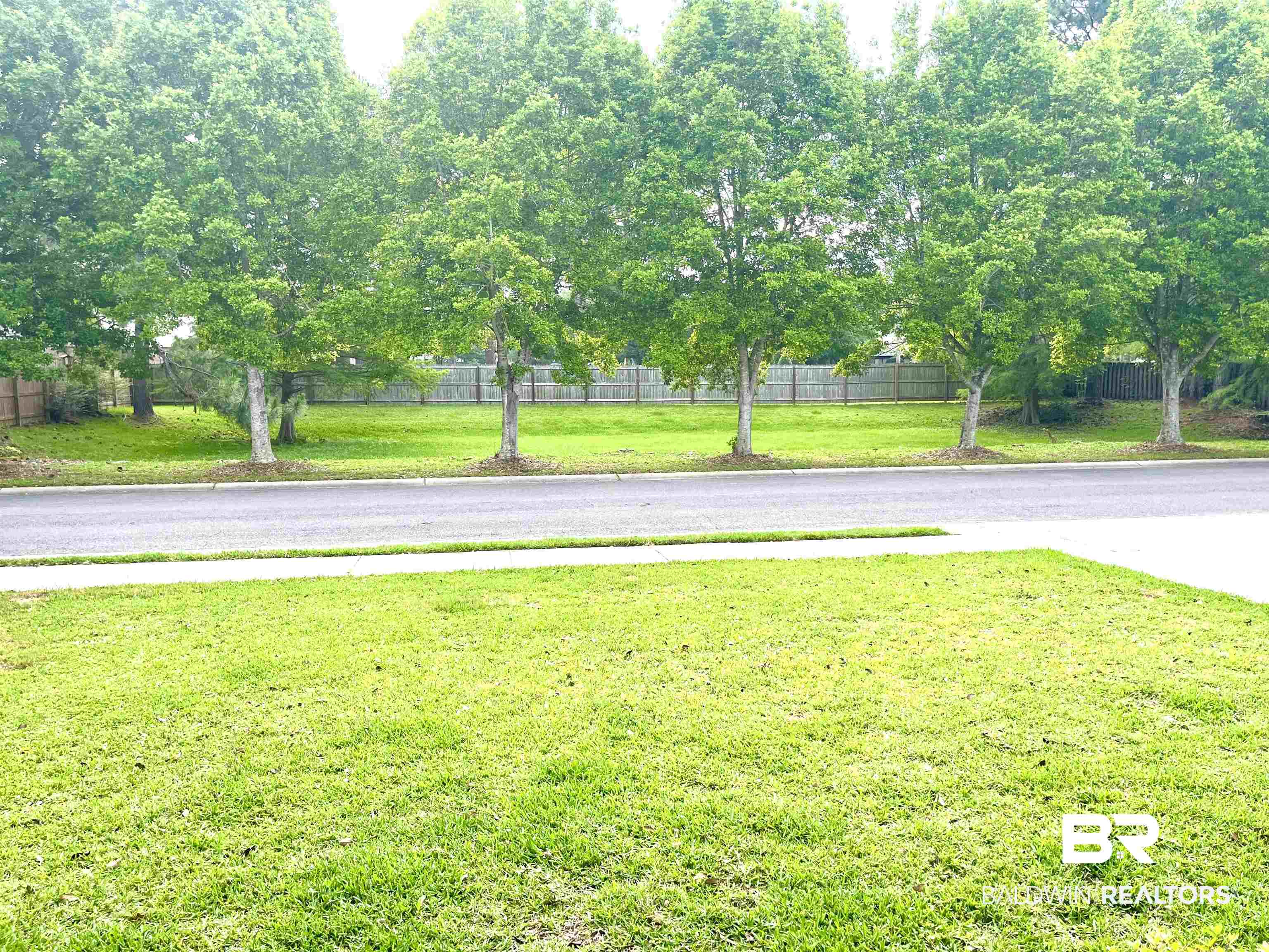 105 Spring Park Drive Fairhope, AL 36532 - Photo 19 of 19 Front Yard View