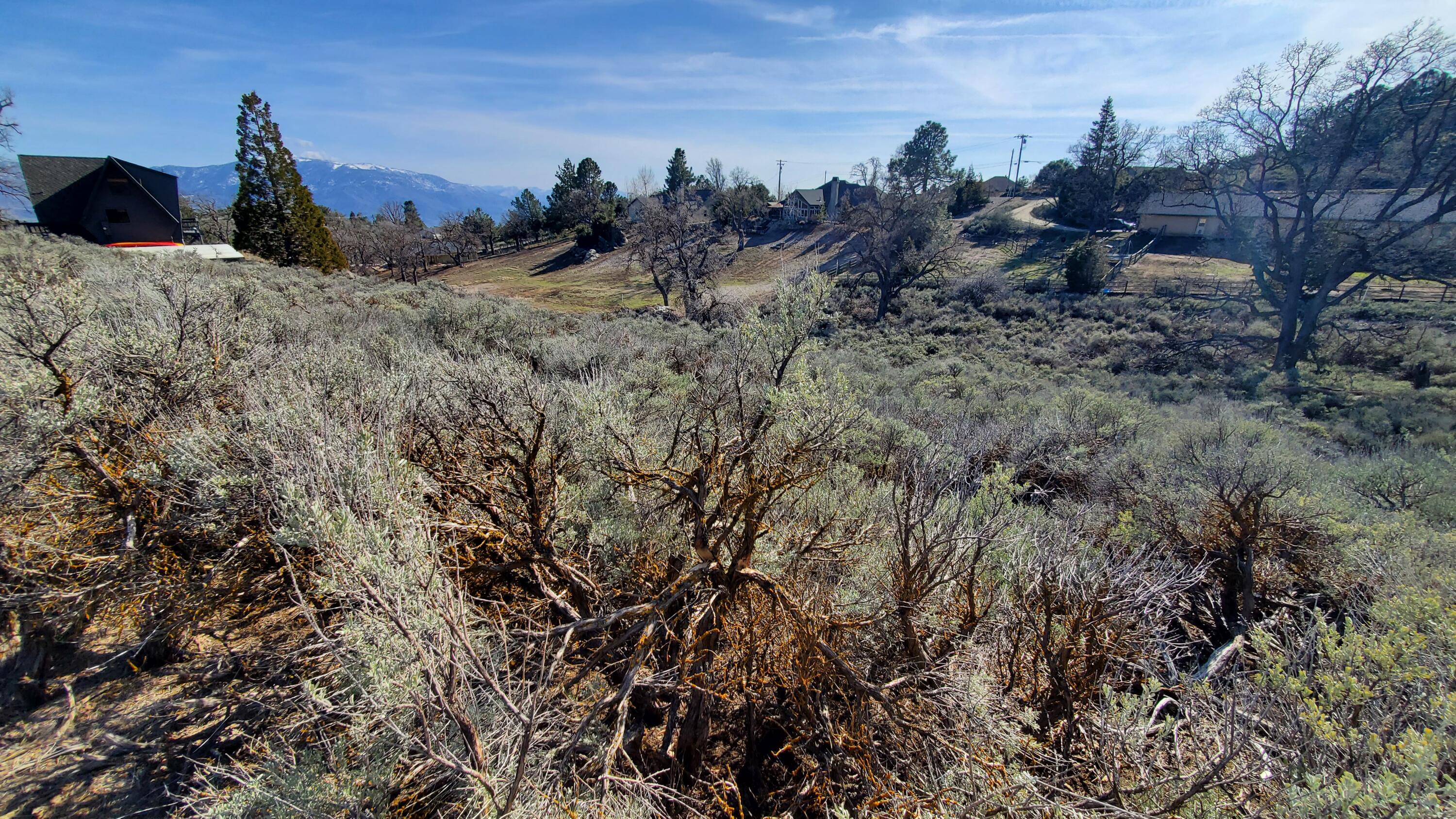 25041 Jacaranda Drive Tehachapi, CA 93561 - Photo 4 of 30 20230405_162006
