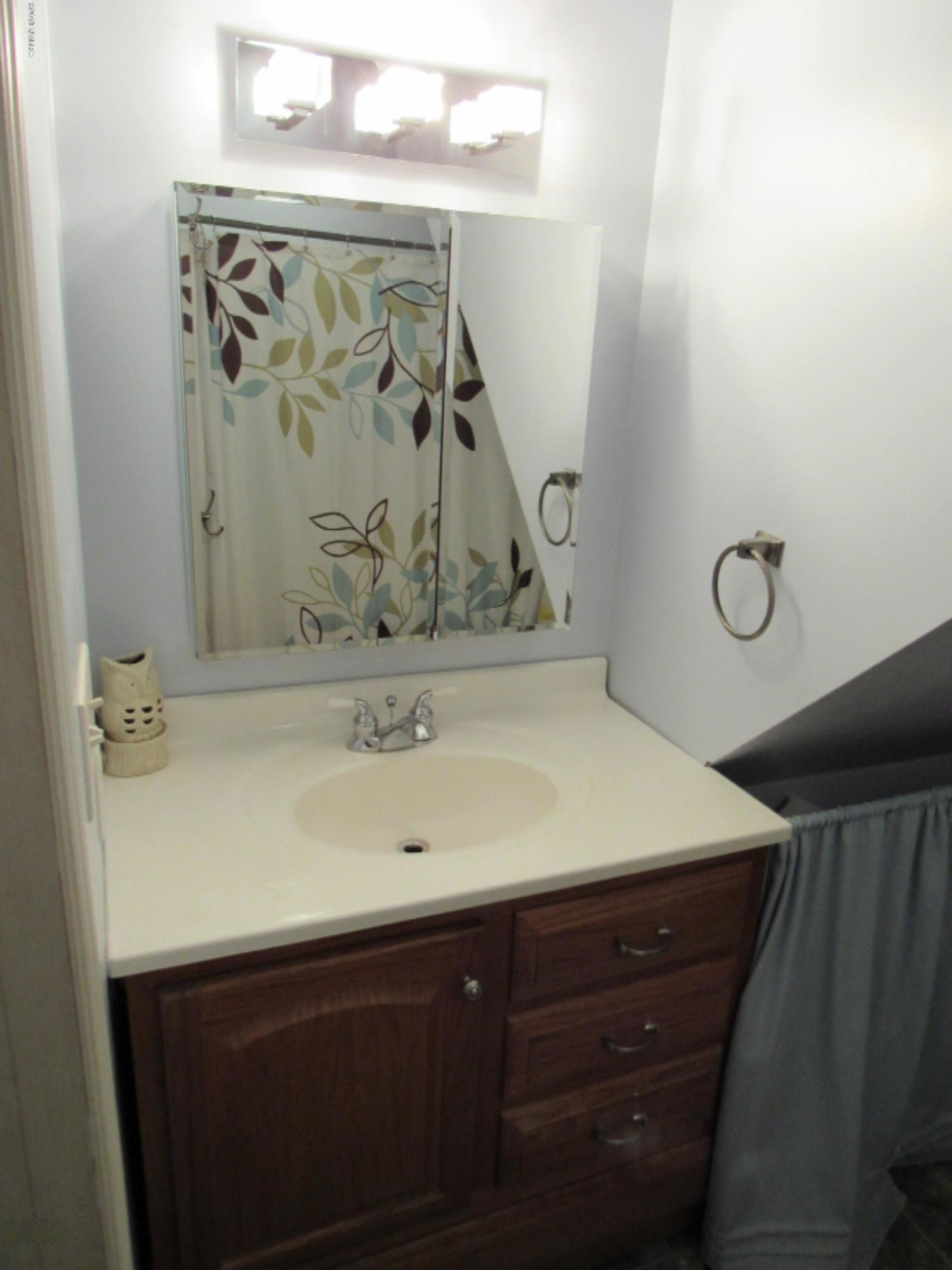 7654 South Crystal Carson City, MI 48811 - Photo 30 of 43 IMG_0152