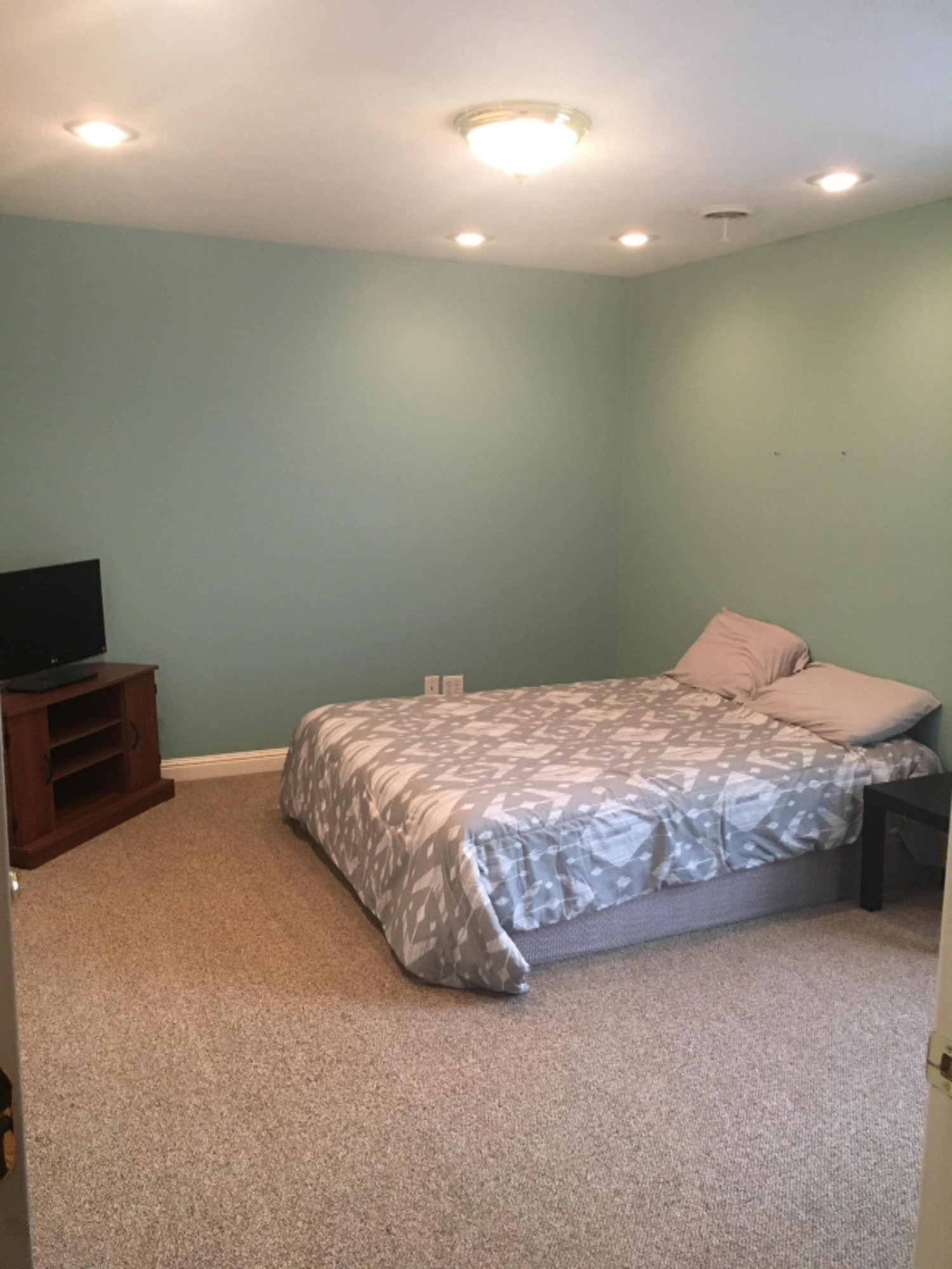 7654 South Crystal Carson City, MI 48811 - Photo 39 of 43 19