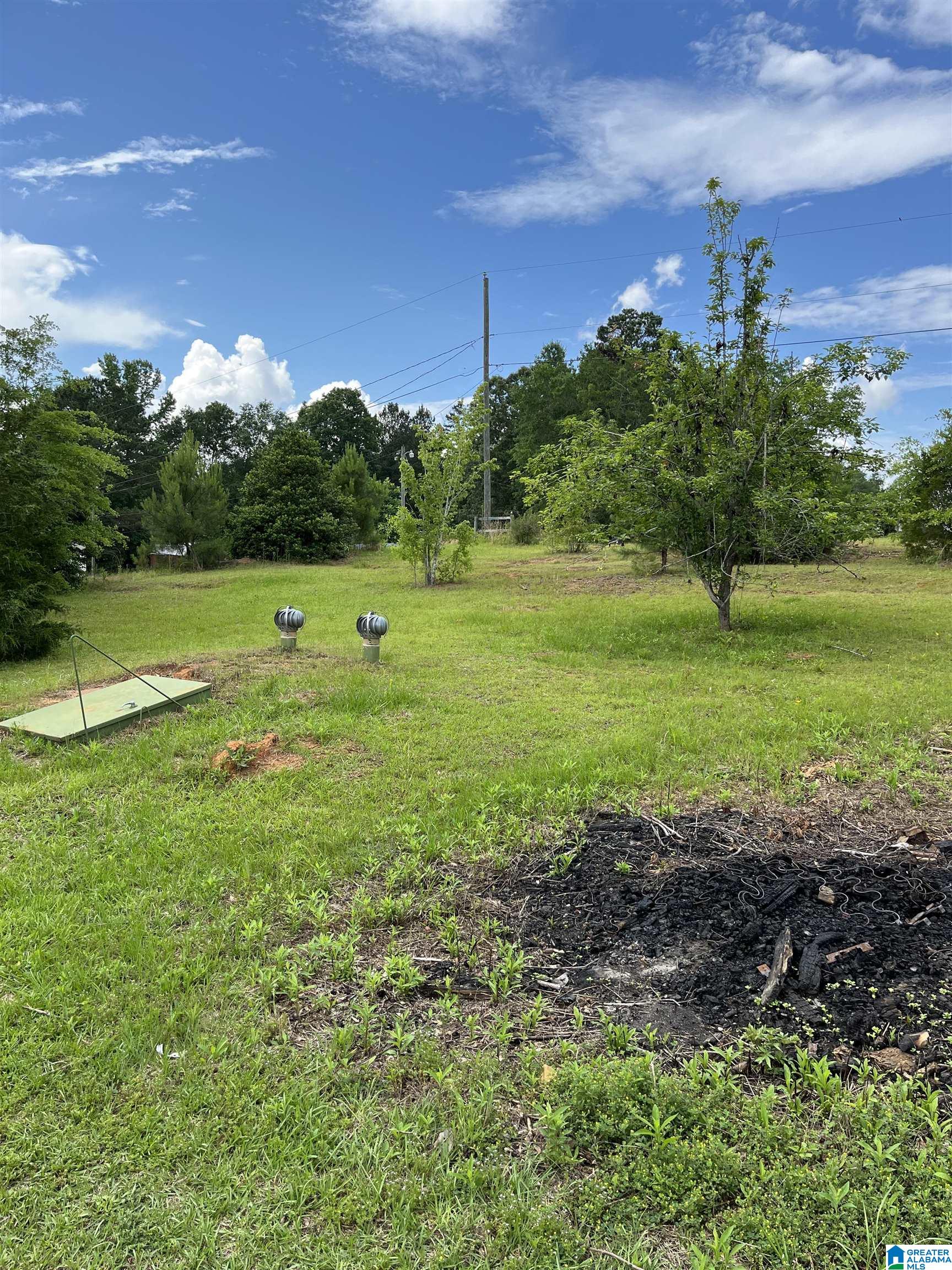 14742 Sawmill Road Coker, AL 35452 - Photo 10 of 29