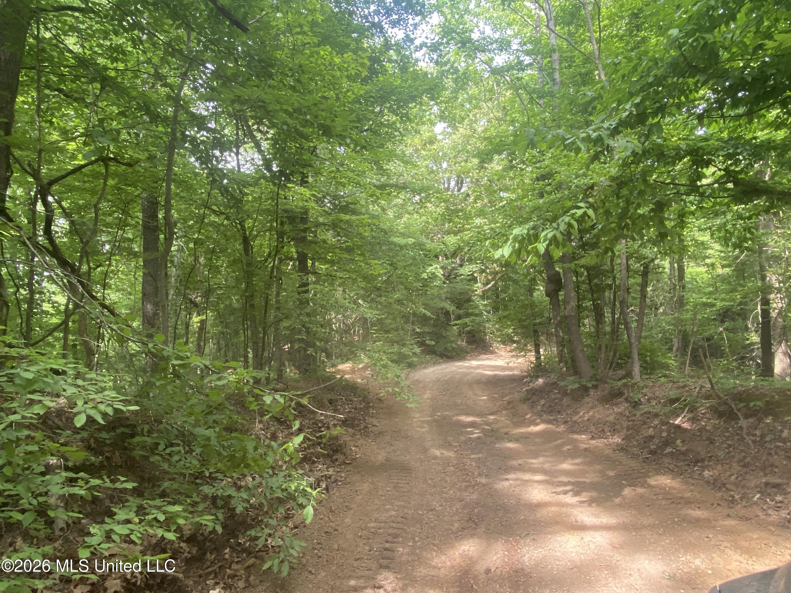 5317 Highway 3 Sarah, MS 38665 - Photo 20 of 28 IMG_7908