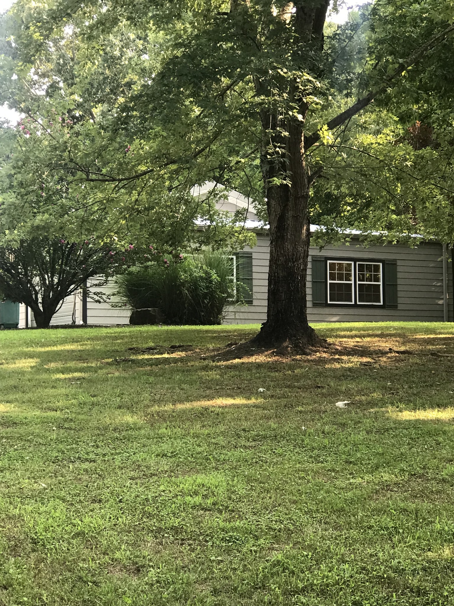 2221 Grays Bend Road Centerville, TN 37033 - Photo 8 of 45 Gallery Image 8