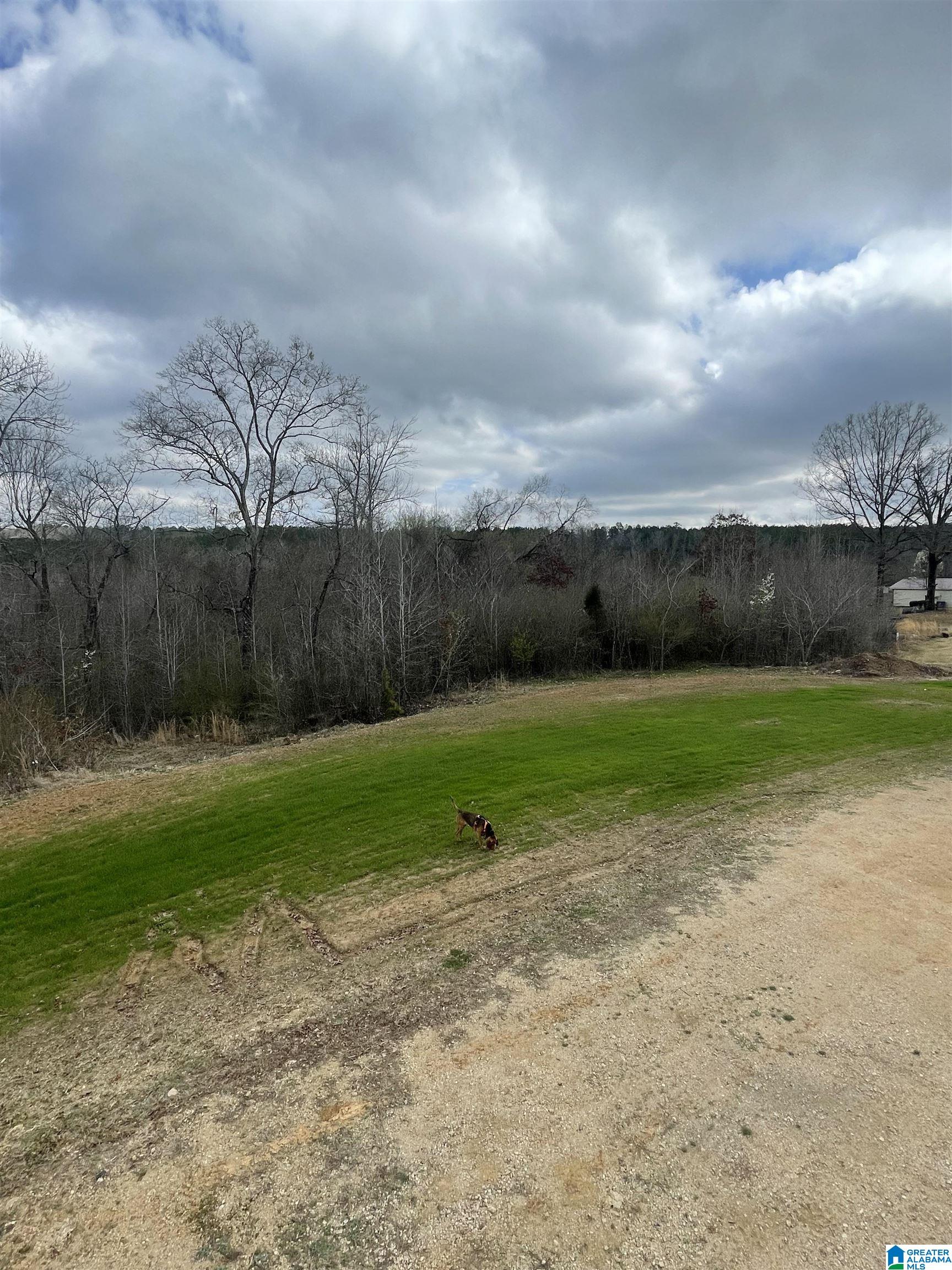 245 Old Eason Road Pell City, AL 35128 - Photo 17 of 22