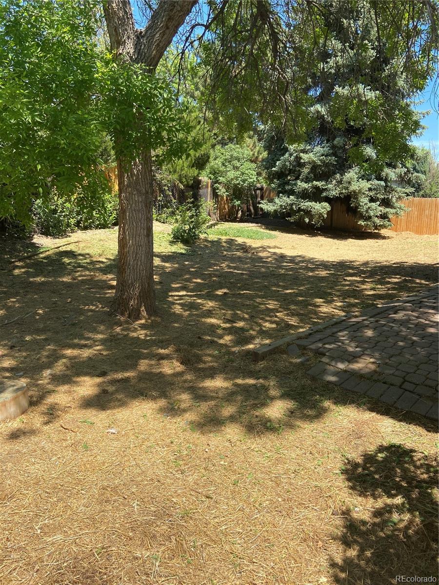 11123 Eudora Place Thornton, CO 80233 - Photo 23 of 26 a view of ocean view