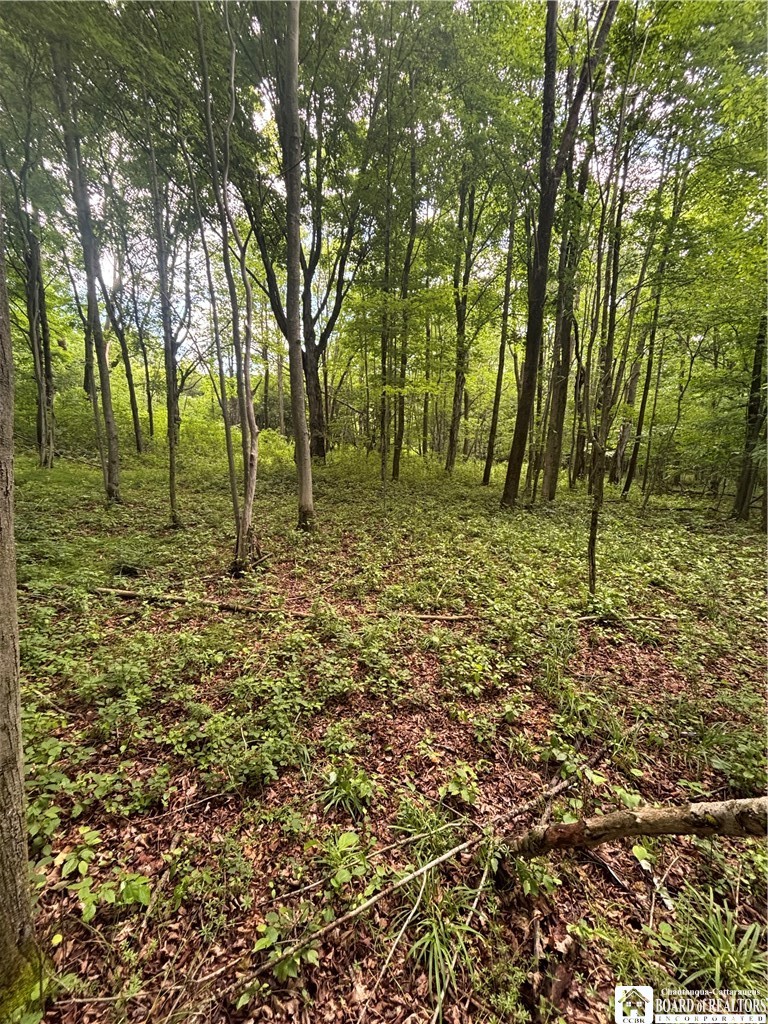 1471 Loomis Road Rexville, NY 14877 - Photo 47 of 50