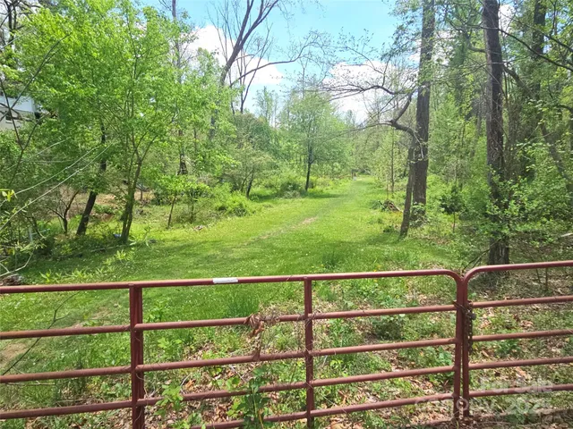 a view of green field
