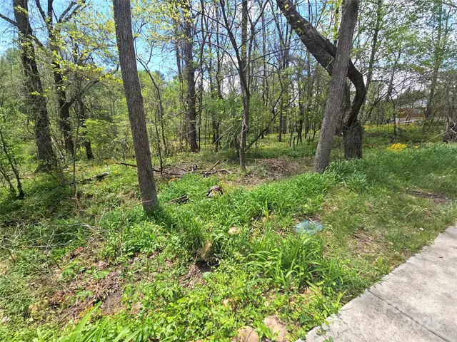 a view of outdoor space and green space