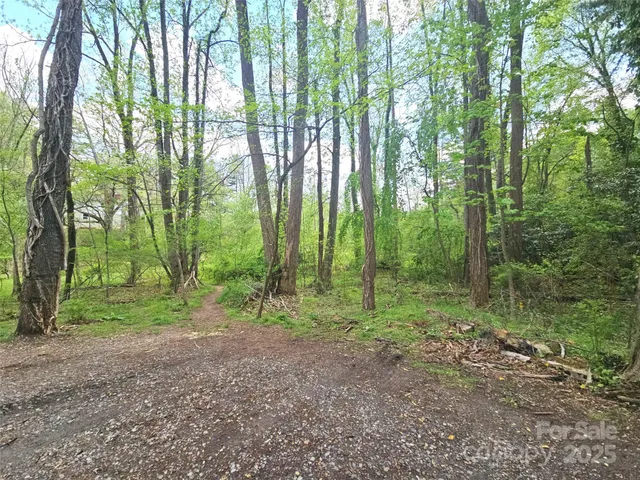 a view of outdoor space and trees