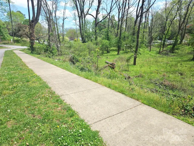 a view of backyard with green space