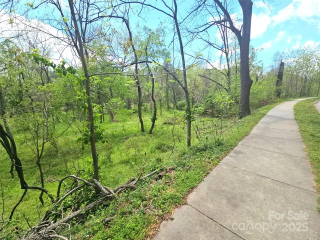 a view of a garden with plants