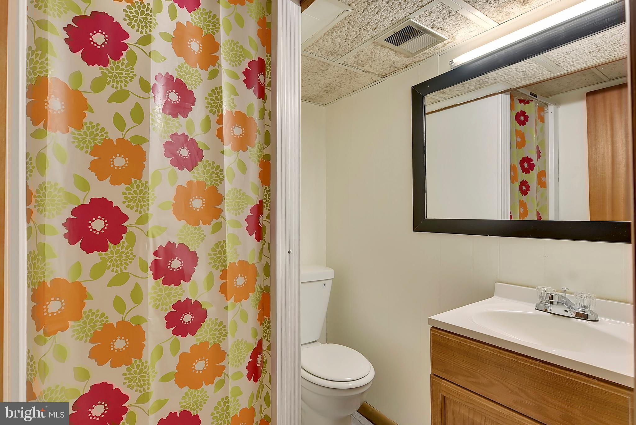 2916 Irvington Road Falls Church, VA 22042 - Photo 20 of 30 A full bathroom on the lower level