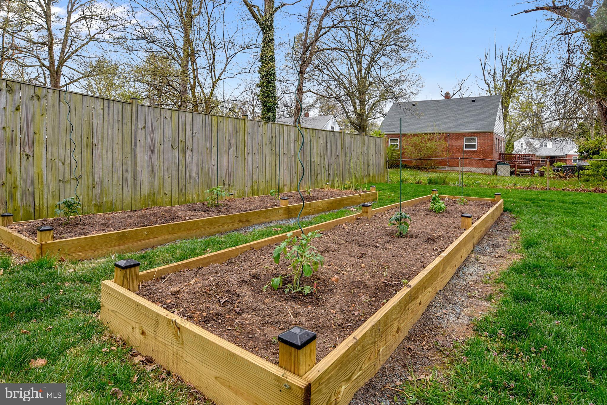 2916 Irvington Road Falls Church, VA 22042 - Photo 26 of 30 New raised vegetable/flower beds