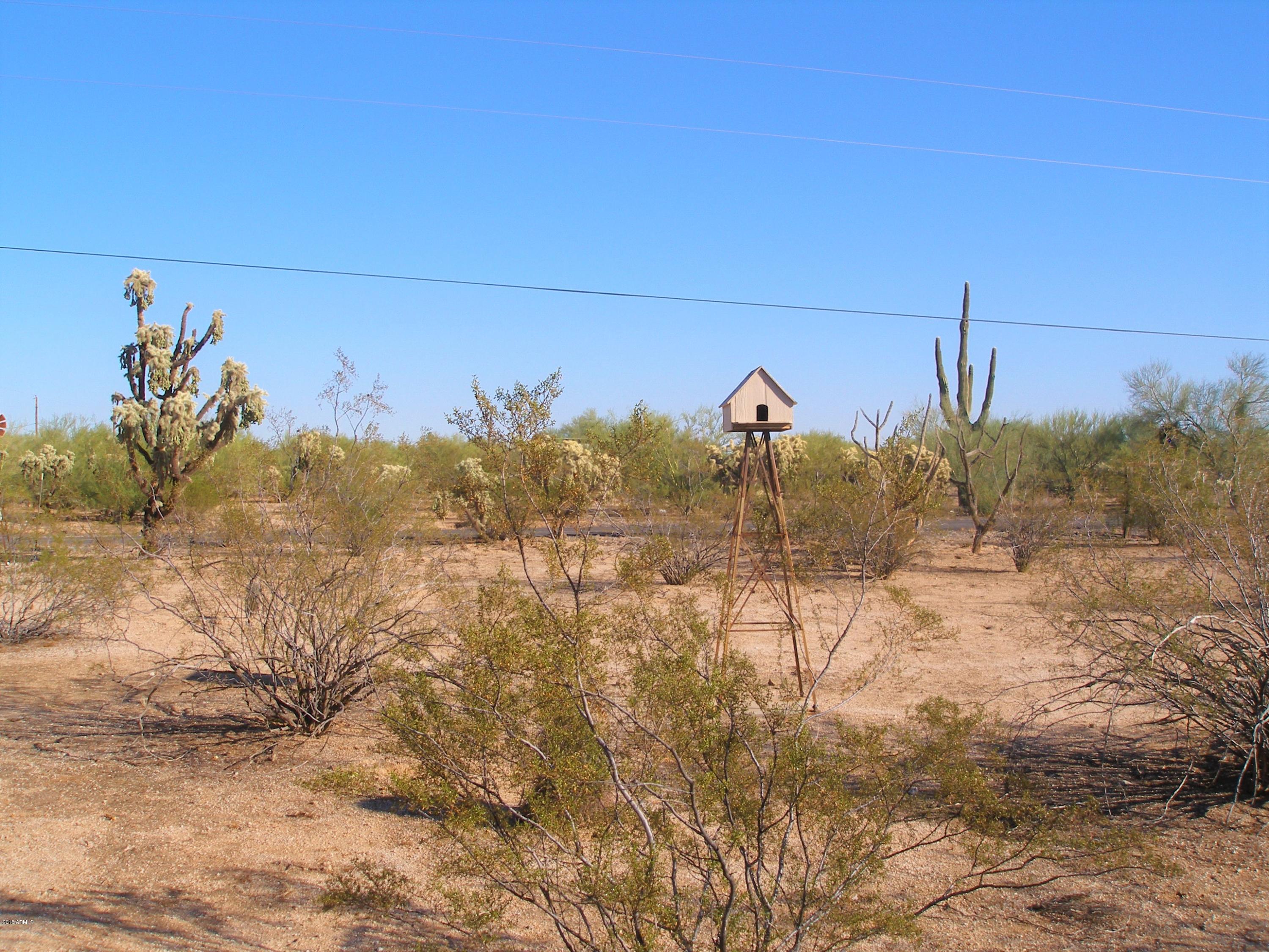 23707 East Cholla Road Florence, AZ 85132 - Photo 24 of 24 P1010029