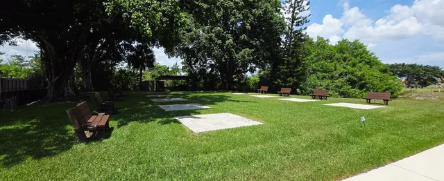 a view of a park with large trees