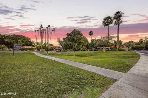 a view of a park with a large trees