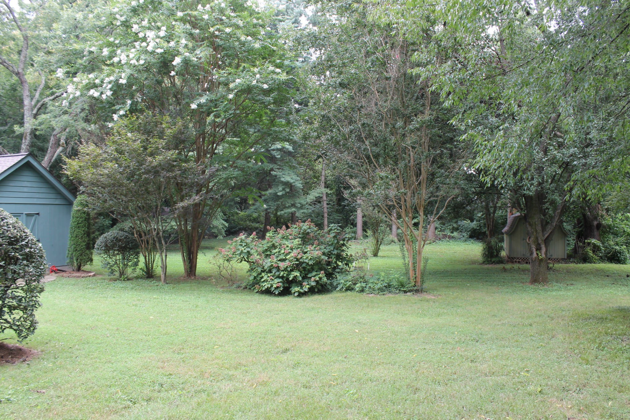 207 Battle Avenue Franklin, TN 37064 - Photo 10 of 67 a backyard of a house with lots of green space